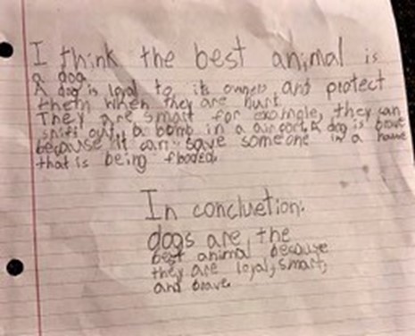 second grader essays